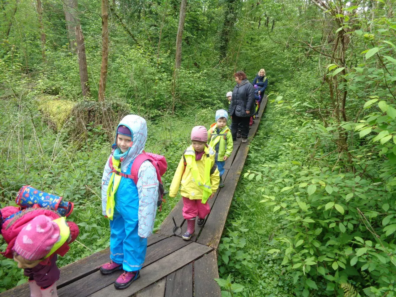 Auf dem Bild sind Kindergartenkinder zu sehen, die durch den Wald laufen.