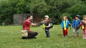 Kleine Kinder besuchen eine Falknerei.