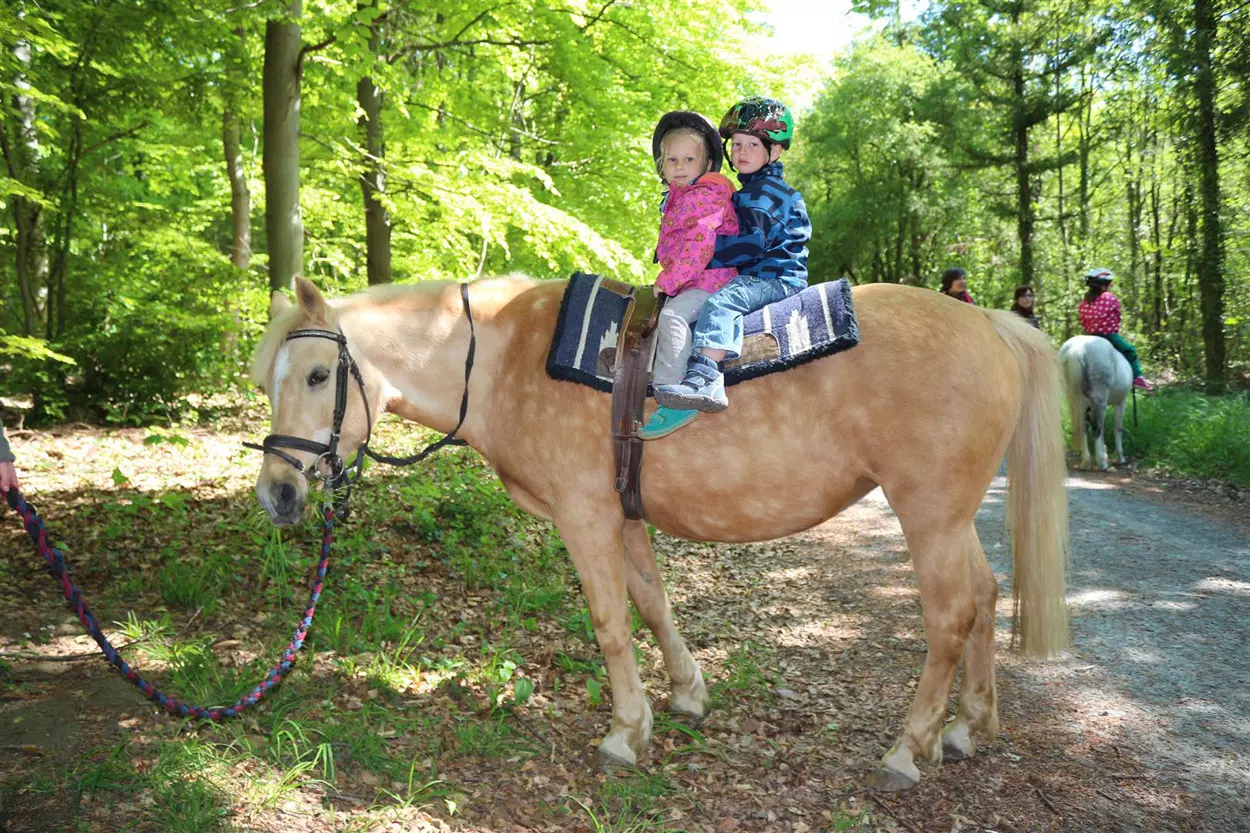 Zwei Kita-Kinder sitzen auf einem brauen Pferd im Grünen.