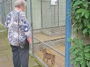 Eine Seniorin steht vor einem Zwinger und schaut einen kleinen braunen Hund an.