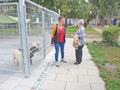 Zwei Frauen stehen vor einem Zwinger mit Hunden und unterhalten sich.
