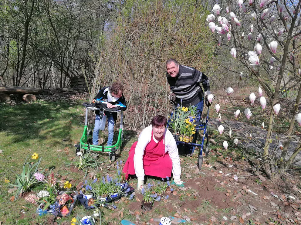 Drei Menschen mit Behinderung stehen auf einem Beet und pflanzen Blumen ein.