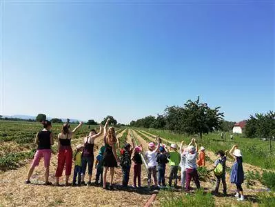 Vorschaubild Erdbeerfelder Kita Krone AWO Karlsruhe