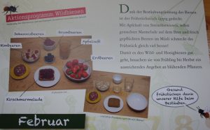 Programm Aktion mit Wildbienen