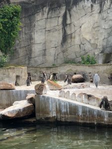 FAE Loewenherz besuchte Zoologischen Stadtgarten 2 AWO Karlsruhe