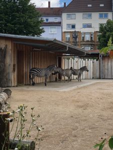 FAE Loewenherz besuchte Zoologischen Stadtgarten 3 AWO Karlsruhe