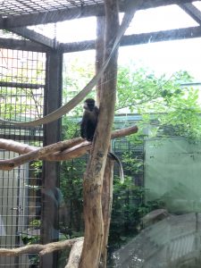 FAE Loewenherz besuchte Zoologischen Stadtgarten 4 AWO Karlsruhe