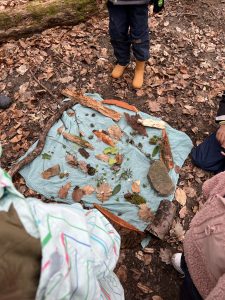 Bild Wald 3 AWO Karlsruhe