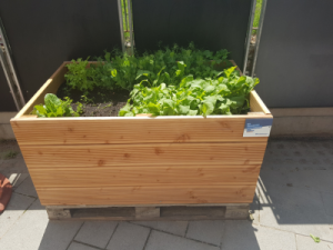 Hochbeet Spende Kita am Haydnplatz 1 AWO Karlsruhe