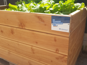 Hochbeet Spende Kita am Haydnplatz 3 AWO Karlsruhe