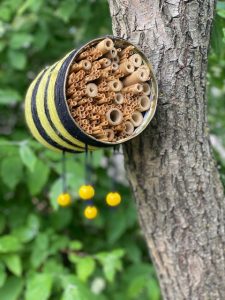 Insektenecke Kita Klinikzwerge 2 AWO Karlsruhe