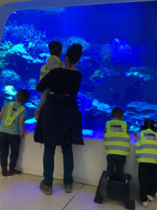 AWO Kita les explorateurs zu Besuch im Aquarium 3 AWO Karlsruhe