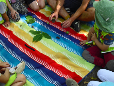 Kinder sitzen gemeinsam mit einer erwachsenen Person auf einer bunt gestreiften Picknickdecke im Wald. In der Mitte liegen gesammelte Naturmaterialien wie Blätter, Früchte und Zapfen.