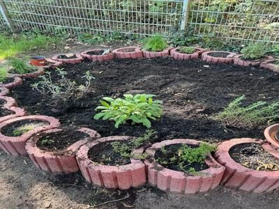 Neu bepflanztes Kräuterbeet im Garten der Kita Weiherwald mit verschiedenen Kräutern und frischer Erde