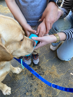 Ein Labrador nimmt vorsichtig aus einem blauen Becher ein Leckerli entgegen, während ein Kind und eine erwachsene Person die Übung gemeinsam begleiten.