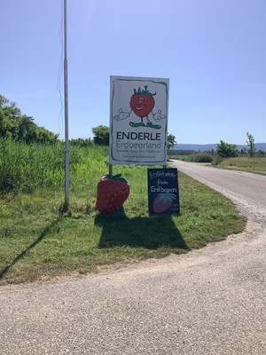 Schild des Erdbeerlands Enderle am Eingang des Hofs in Durmersheim.