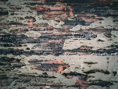 Nahaufnahme einer verwitterten Holzoberfläche mit abblätternder Rinde