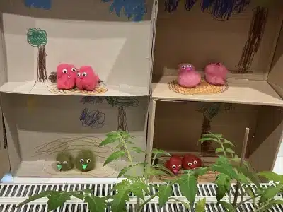 Gebastelte Vogellandschaft aus Karton mit bunten Papier- und Federvögeln in der Kita Der Kleine Prinz.