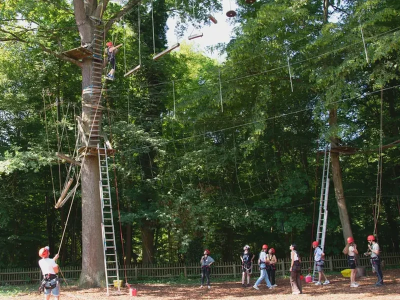 Teilnehmende absolvieren eine Kletterstation im AWO-Hochseilgarten.