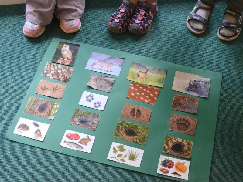 Kinder ordnen auf einer Tafel verschiedene Waldtiere ihren Spuren, ihrem Fell, ihrer Nahrung und ihren Lebensräumen zu.