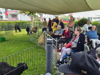 Vorschaubild: Bewohner*innen sitzen beim Sommerfest am Tiergehege im Garten des Seniorenzentrums Knielingen.