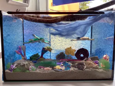 Ein Aquarium ist mit bunten, selbst gestalteten Meerestieren dekoriert.