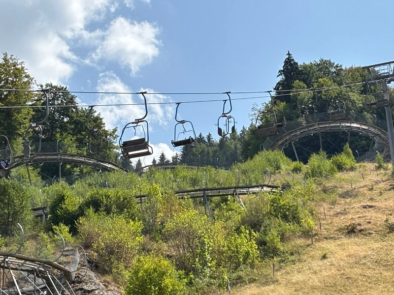 Eine Sommerrodelbahn führt durch eine bewaldete Hanglandschaft; darüber verläuft ein Sessellift.